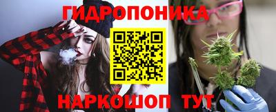 прущие крисы Шахты