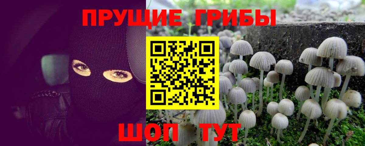 Псилоцибиновые грибы Magic Shrooms Лянтор